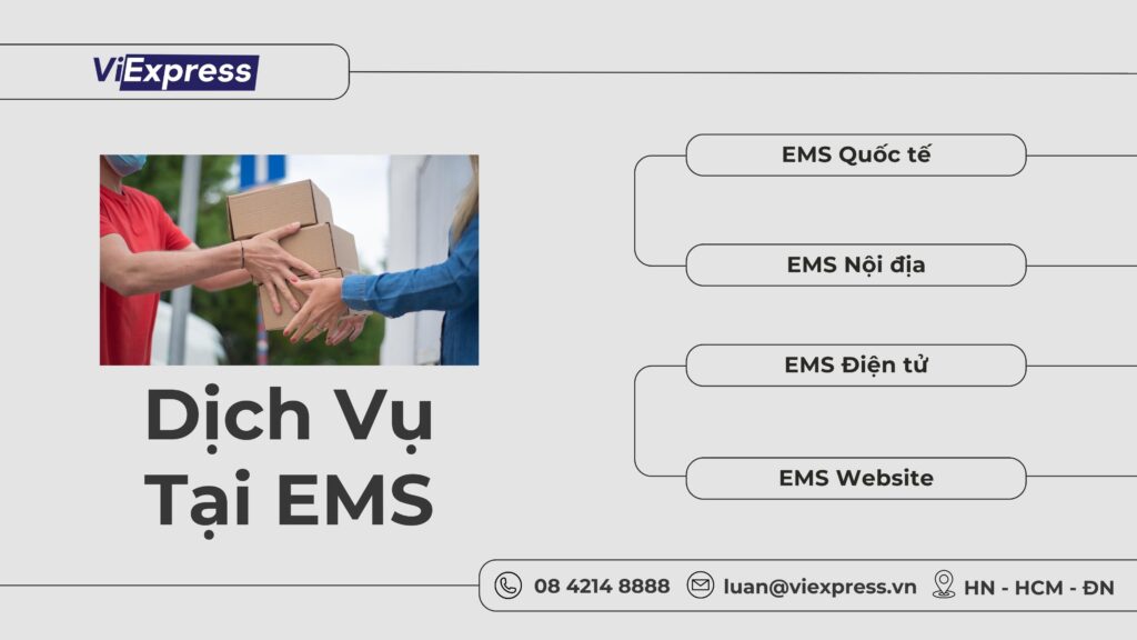 Tra cứu EMS